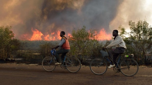 RASSEGNA STAMPA Il Bundestag  da mandato per la missione di addestramento in Mali/ Il Bundestag approva a grande maggioranza l’invio di soldati in Mali Majid Sattar, Berlin –       La Germania non intende più rimanere da parte nello sfruttamento dell’Africa. Dopo l’approvazione del governo, sono stati approvati anche al Bundestag i due mandati per il Mali, con un ampio accordo parlamentare, (le forze di governo (Cdu-Csu+Fdp) ma anche i socialdemocratici SPD e i Verdi: o   invio fino a 230 soldati tedeschi, in appoggio alle truppe francesi, o   e la partecipazione alla missione UE di “addestramento” di soldati del Mali, che […]