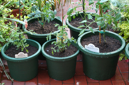 Caro Operaio Contro, ti riporto alcuni dati. Cresce e si divarica sempre piu’ la forbice delle disuguaglianze sociali. Il 10% delle famiglie italiane detiene poco meno della meta’ (47%) della ricchezza totale. Il resto (53%) e’ suddiviso tra il 90% delle famiglie. Una differenza che diventa macroscopica mettendo a confronto il compenso medio di un lavoratore dipendente e quello di un top manager: nel 2012 il rapporto e’ stato di 1 a 64 nel settore del credito, di 1 a 163 nel resto del campo economico. Nel 1970,  un lavoratore in media  in 4 anni ha percepito 104 mila […]