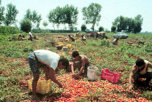  MIMMO PERROTTA e DEVI SACCHETTO Da Lampedusa al grand ghetto di Rignano Garganico, passando per Borgo Mezzanone. La storia di Diawara mostra in maniera sorprendentemente lineare come il mercato del lavoro si intrecci con la legislazione sull’immigrazione mettendo a dura prova molti dei discorsi sulla cittadinanza. Partito dal Senegal nel 2008, Diawara, 25 anni, approda a Lampedusa dopo un viaggio durissimo. I suoi compagni di sbarco sono per lo più del Gambia e, sperando in maggiori possibilità nella domanda dello status di rifugiato, Diawara dichiara di provenire dallo stesso paese. Come altri, anche lui cerca di infilarsi nelle ambiguità delle artificiose […]