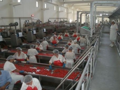 Redazione di Operai Contro, La Gazzetta del mezzogiorno riporta a caratteri cubitali  che in provincia di Foggia: La Princes assumerà mille stagionali per la trasformazione del pomodoro. L’accordo sindacati-azienda è stato sottoscritto nello stabilimento di borgo Incoronata, il dirigente di stabilimento Luca Bruni e i segretari di categoria di Flai Cgil, Fai Cisl e Uila Uil hanno messo a punto modalità, tempi e prospettive di occupazione in una delle più grandi fabbriche della provincia. Assunti a Luglio Gli operai verranno licenziati il 31 agosto. Funziona così da 40 anni. Il pomodoro viene raccolto dagli schiavi neri sui campi, il […]