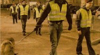 Sicurezza a Milano rispuntano le ronde: ora le vuole IL Pd Le prime furono le ronde padane. Camicia verde e walkie talkie. Poi la «stagione securitaria» ha visto passare formazioni di quasi ogni colore. A distanza di anni a rilanciare la figura del «cittadino in pettorina» è il Comune di Milano. O meglio, il suo assessore Pd alle Politiche sociali, Pierfrancesco Majorino. Pronto a lanciare in autunno un doppio avviso pubblico alla ricerca di volontari e finanziatori per le «unità mobili sociali».Il loro campo d’azione saranno le linee della metropolitana e i bus della circolare 90-91. Da presidiare notte e giorno […]