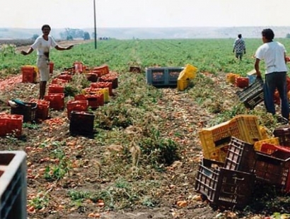 Redazione, Un bracciante marocchino senza permesso di soggiorno, El Mardi Ahmed, di 44 anni, è morto mentre lavorava nei campi in località Borgo Tressanti, alla periferia di Cerignola, nel foggiano. Le cause sono lo sfruttamento a cui siamo costretti dai padroni con il ricatto e le minacce. Il lavoro più faticoso, la raccolta dei pomodori, quello peggio pagato, e per questo appaltato ormai da anni dai caporali ai nuovi schiavi, prima africani e poi est-europei. Si guadagnano 25 euro per una giornata di lavoro che dura anche 10-15 ore, ma 5 vanno al caporale per il trasporto dalla città […]