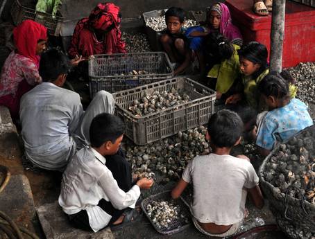 Redazione di Operai Contro, la società capitalista è quanto di peggio l’umanità ha dovuto sopportare. Nel 2012 c’erano quasi 168 milioni di minori al lavoro (il 10,6% della fascia di eta’ tra i 5 e i 17 anni), 73 dei quali con meno di 11 anni: e’ quanto emerge dal Rapporto dell’Ilo sul lavoro minorile secondo il quale c’e’ stato comunque un calo del 32% rispetto ai 246 milioni di minori in fabbrica e nei campi segnato nel 2000 (il 16% del totale). Oggi per sopravvivere i padroni stritolano gli operai e i loro figli Un operaio di Palermo