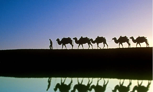 Redazione di Operai Contro, la fine della crisi è un miraggio. Ogni volta che stanno per raggiungerla si allontana. Il ministro delle Finanze tedescoWolfgang Schaeuble in un’intervista concessa nel 2011 al quotidiano Handelsblatt diceva: “i leader dell’Unione europea riusciranno a stabilizzare l’eurozona nel 2012  Monti nel 2012 affermava: che nel 2013 l’italia ripartirà, Dopo una nuova forte contrazione nel 2012-13 l’attività si riprenderà gradualmente nel 2014-15», scrive la Commissione europea Sono tutte balle Un operaio