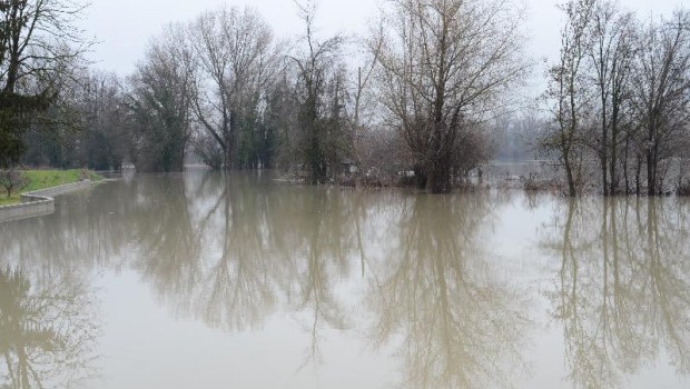 Redazione di Operai Contro. GLI APPROFITTATORI DEI PADRONI E DEI GANGSTER POLITICI CI PROVANO, ORA TIRANO FUORI DAL CILINDRO IL GEOLOGO “ESPERTO” ( DELLA FUFFA) CHE TIRA FUORI ALLINEATO COI POLITICI LA TEORIA DELLE NUTRIE CHE SCAVANO. MA COME CI SPIEGA LUI STESSO NEL PROSEGUIO (CONTRADDICENDOSI APPUNTO) NON DOVREBBERO NEANCHE VIVERCI IN EMILIA, NON NE ESISTONO IN NATURA, PORTATE QUI DA FUORI QUINDI, PERCHE’? PELLICCE, SIGNORI, E TUTTI ZITTI PER I PROFITTI, SILENZI E BUGIE ED ERA ANDATO BENE FINO AD ADESSO PER TANTI, PROPRIETARI DI TERRENI ED ABITANTI INCLUSI. I GANGSTER INSISTONO DUNQUE CON L’ARGOMENTO “NUTRIE” UTILE A […]