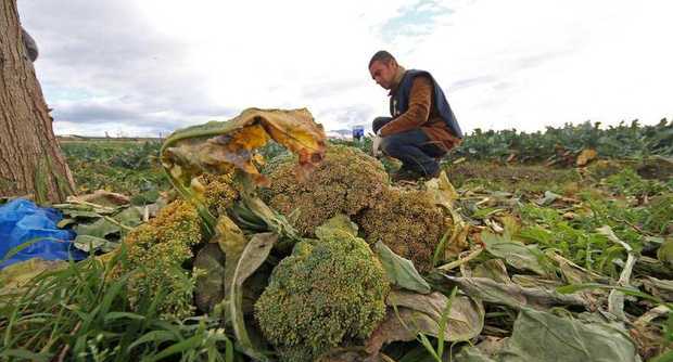 In Italia le superfici, terrestri e marine, individuate negli ultimi 15 anni come siti contaminati sono davvero rilevanti. I risultati ottenuti fino ad oggi per il raggiungimento della bonifica di queste aree invece, non sono purtroppo altrettanto rilevanti. Secondo il Programma nazionale di bonifica curato dal Ministero dell’ambiente e della tutela del territorio e del mare, il totale delle aree perimetrate come siti di interesse nazionale (SIN) è arrivato negli anni a circa 180mila ettari di superficie, scesi oggi a 100mila ettari, solo grazie alla derubricazione dello scorso anno di 18 siti da nazionali a regionali (i SIN sono […]