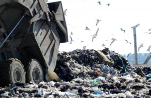 Comunicato Stampa Il problema della smisurata e ingombrante  produzione di rifiuti, civili, industriali ed edili è generalmente associata alle società “avanzate”,  a capitalismo maturo, l’Italia è una di queste . Data la peculiarità del nostro paese, tuttavia,  la dismissione, il riciclaggio ed il compostaggio dei rifiuti hanno assunto risvolti particolari portando alla devastazione, spesso irreversibile , di intere aree agricole e residenziali  del territorio nazionale e al conseguente arricchimento sia della componente criminale che di quella “legale” legata al traffico dei rifiuti pericolosi e non. Dalla devastazione negli anni ’90 della Terra dei fuochi  in Campania (14milioni di tonnellate […]