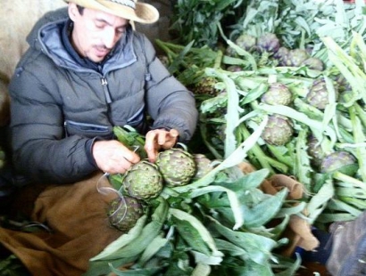 Redazione di Operai Contro, ogni tanto qualche giornale scopre un lager per operai nelle campagne della Puglia. ogni tanto le autorità di polizia intervengono Ogni tanto la magistratura indaga Tutto continua come sempre: padroni, stato, politici, caporali, mazzieri, polizia Un campo-lager è stato scoperto dalla Polizia nelle campagne tra Cerignola e San Ferdinando. Agenti della Questura di Foggia, insieme a personale del Servizio Centrale Operativo (SCO), Asl e Direzione provinciale del lavoro, hanno scoperto 54 cittadini di nazionalità bulgara e rumena lavorare in condizioni disumane in un impianto per la lavorazione e la trasformazione dei carciofi. Nel corso del […]