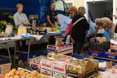 Redazione di Operai Contro, si avvicinano le elezioni del 25 Maggio. I borghesi e i loro partiti hanno paura. In tutta l’Europa l’astensionismo è vicino al 60%. Questa è una campana a morto per la democrazia parlamentare L’ISTAT( Istituto dei dati dei truffatori)  non sa più cosa inventare: ” aumenta la fiducia degli italiani, gli italiani spendono, ecc….) I partiti italiani dal Pd,M5S,NCD,Forza Italia, SEL,mettono in campo tutte le loro arti per strappare qualche voto di più. Ma devono spartirsi il 40%. La democrazia parlamentare è in minoranza. E’ ora di farla finita con la democrazia dei gangster della […]