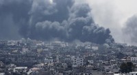 Redazione di Operai Contro,  Finora il bilancio è di almeno 400 morti (50 solo oggi a Sajaya) e 2.700 feriti. Tra i morti ci sono anche i soldati d’israele !5 soldati uccisi e 17 feriti È salito anche, a oltre 80.000, il numero degli sfollati a Gaza: lo ha comunicato l’Unrwa, l’agenzia per i rifugiati dell’Onu. Il segretario di stato Usa, John Kerry,afferma   « Hamas usa i civili come scudo e rifiuta ostinatamente un cessate il fuoco», ha detto in una nota. L’ assassino sa benissimo che i 400 morti Palestinesi  sono donne e bambini. L’ assassino ha […]