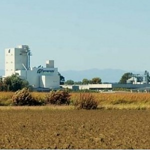 Redazione, è una strage. Ogni giorno due o tre operai vengono assassinati. Decine la scampano per restare invalidi Mi viene da ridere quando sento parlare i padroni e i loro politici di problema umanitario Probabilmente per i padroni, gli operai sono meno delle bestie. Due operai sono morti poco prima di mezzanotte in un incidente sul lavoro avvenuto all’interno dell’azienda Ferraroni Mangimi a Bonemerse, in provincia di Cremona. I vigili del fuoco sono intervenuti per il crollo di un silos verticale che conteneva 700 tonnellate di mais e durante le operazioni hanno trovato i corpi di Francesco Lissignoli, 48 […]