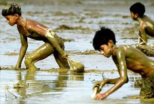 Redazione di Operai Contro, ho seguito  con interesse la discussione sul giornale telematico riguardo allo sfruttamento delle braccianti in agricoltura nelle campagne italiane. I partiti della sinistra borghese hanno cercato, a volte riuscendoci, di illuderci che il capitalismo avrebbe lentamente migliorato le  condizioni di vita degli operai, in agricoltura, nell’industria , nell’edilizia e nei servizi. Oggi ci ritroviamo a vivere le stesse condizioni se non peggiori di metà ottocento. Nelle campagne gli operai vivono condizioni di schiavitù primordiale nelle fabbriche schiavitù scientifica con il completo assoggettamento dell’uomo  alla gerarchia del  capitale e quindi del profitto. Non esiste alternativa possibile […]