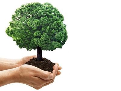 Egregio direttore La spesa a km zero si sta diffondendo in europa, ed in particolare in Italia, come forma di risposta ecologica ai problemi di emissione di co2, problemi che sono la causa principale dei cambiamenti climatici in atto sul nostro pianeta. Ma quali sono le vere ragioni di chi fa proprie e propaganda tali iniziative di carattere umanista? Concettualmente sulla difesa dell’ambiente nessuno avrebbe alcunché da contestare , se non il fatto che la rovina del pianeta è da imputare esclusivamente all’economia capitalista, che per il proprio processo di accumulazione sta riducendo il pianeta ad una discarica tossica […]