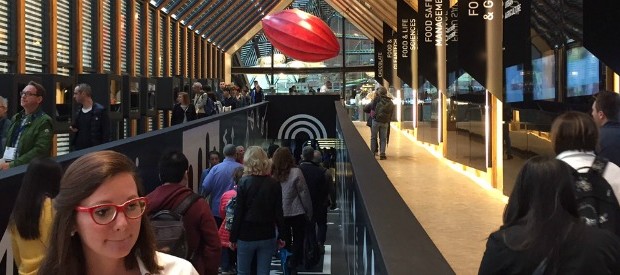 Redazione di Operai contro, Expo 2015, la  vetrina dei parassiti perde i pezzi Non si è mai saputo niente degli operai uccisi Non si sa niente della fine che faranno i 6000  operai che hanno costruito i padiglioni Giovedì, in sordina, il primo sciopero sul suolo dell’Esposizione: una ventina di lavoratori fiamminghi addetti al ristorante e alla sala hanno incrociato le braccia per avere i compensi promessi. Alla fine hanno fatto i bagagli verso Bruxelles. La vice commissario: “Saranno sostituiti, anche da personale reclutato qui”. E accusa la disorganizzazione dell’Italia un nemico dei parassiti Lo stufato è sempre fiammingo […]