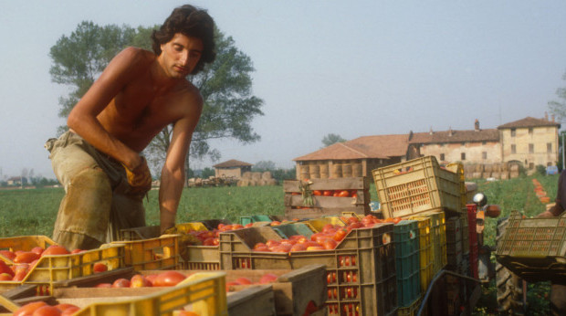 dalla Repubblica Il terzo bracciante a crollare per la fatica e per il caldo si chiamava Zaccaria, era tunisino e doveva mantenere 4 figli. Si è sentito male martedì 3 agosto in tarda mattinata alla fine del turno di lavoro nei campi dove caricava cassette di uva. Si trovava a Polignano a Mare. A differenza di Paola, la raccoglitrice di uva stroncata da un infarto alla fine di una lunga giornata di lavoro, sul corpo di Zaccaria, 52 anni, verrà eseguita l’autopsia. La Procura di Bari vuole capire se la morte sia stata conseguenza di un infortunio sul lavoro, […]