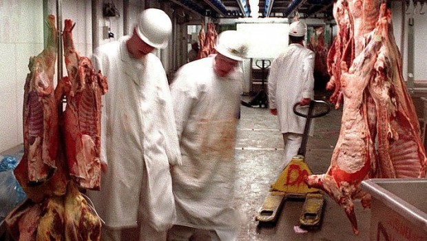 Caro Operai Contro, «Le verifiche condotte dalla Direzione territoriale del lavoro di Modena del ministero che rappresento hanno evidenziato, oltre all’applicazione di contratti collettivi nazionali differenti per i lavoratori delle società committenti e per quelli delle cooperative operanti in regime di appalto, anche fenomeni di interposizione di manodopera, omissioni contributive, registrazioni infedeli sul libro unico del lavoro e violazioni della normativa in materia di orario di lavoro». Dopo la scoperta dell’acqua calda, il grande annuncio del ministero: “continuerò a monitorare…con attenzione nel futuro”. La giustizia dei padroni è sempre molto efficiente per i padroni. Vi mando un articolo della […]