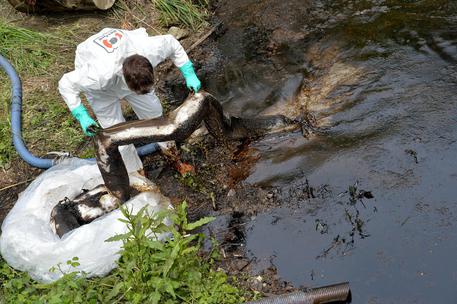 Redazione di  Operai Contro, un imbecille gira il mondo farneticando sulla sicurezza degli oleodotti in Italia. Genova è  un esempio di questa sicurezza Un lettore Cronaca ANSA Una diga di contenimento sul torrente Polcevera, creata per contenere il greggio fuoriuscito da una tubatura dell’oleodotto Iplom domenica scorsa, ha ceduto a causa dell’innalzamento del livello del corso d’acqua dovuto alle piogge. “Speriamo che reggano le panne oceaniche”, ha detto l’assessore comunale alla Protezione civile Gianni Crivello. Un altro argine è stato aperto dai tecnici per evitare che il livello d’acqua nel torrente si innalzasse ulteriormente. Ora il rischio è che […]