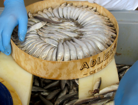 I proletari francesi vogliono fatti, non sceneggiate A proposito dell’iniziativa del Si.Cobas del 4 giugno 2016 Dopo la batosta subita (vedi: Facchini in lotta e pesci in barile), i recidivi burocratini del Si.Cobas, per difendere il cadreghino si son dati un colpo di reni e hanno cercato di recuperare il terreno perduto. Per dimostrare di essere vivi (come gli zombi). L’occasione l’hanno fornita le lotte proletarie in Francia. Gli italici sinistri (merdacce), in altre faccende affaccendati (elezioni amministrative), non  avevano fatto un plissé di fronte al terremoto francese. L’occasione era ghiotta. Cosa fare di meglio che promuovere un’iniziativa a […]