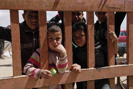 Redazione di Operai Contro, i civili Siriani scappano dai bombardamenti terroristi degli USA e Russi Non hanno fatto i conti con l’esercito dei padroni Turchi. I Turchi li cannoneggiano per non farli entrare in Turchia. Del resto i padroni occidentali hanno pagato i padroni turchi per non fare arrivare i profughi in Europa Se i turchi avessero come i padroni italiani il Mar Mediterraneo li lascerebbero affogare vi invio le notizie dell’ANSA Un vostro lettore Almeno 8 profughi siriani, tra cui 4 bambini, sono stati uccisi dalle guardie di confine turche mentre tentavano di attraversare la frontiera per entrare […]