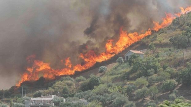 Caro Operai Contro, spesso denunciate mangerie di enti, che approfittano delle calamità naturali per in operare modo criminoso . Voglio anch’io segnalare un fatto della Sardegna. 3,2 milioni di euro stavano a bilancio già nel 2014, ma solo il 20 settembre 2016 sono stati pagati i 7 mezzi antincendio, dal costo di 1,2 milioni di euro. Mezzi antincendio nuovi, mai utilizzati proprio perché non pagati prima. Mentre la Sardegna andava a fuoco, erano fermi parcheggiati nell’autoparco. L’ente responsabile si chiama Forestas, già Ente Foreste. Come ogni foresta di zone oscure non manca. Capito mi hai?  Saluti sardi Articolo da […]