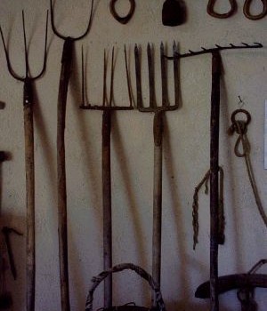 Redazione di Operai Contro, mentre valutavo come organizzarci per non pagare le prossime bollette comunali, come suggeriva un lettore su Operai Contro dell’altro giorno, a Fagnano Olona sono arrivate le nuove bollette dell’acqua inspiegabilmente molto salate. Forse vogliono farci pagare per la seconda volta quei 9 milioni di euro che i Comuni della provincia di Varese, compreso Fagnano Olona non hanno versato all’ente preposto per i lavori di depurazione? Vista l’arroganza e la totale opacità di questa rapina mascherata, mi chiedo se oltre a non pagare queste bollette maggiorate, non sia arrivato il momento di presentarsi in Comune a […]