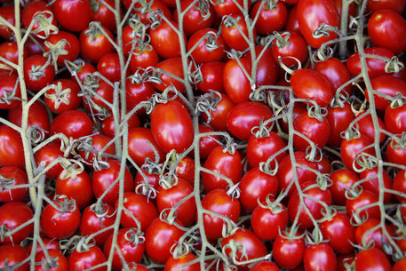 Redazione di Operai Contro, l’ISTAT invita noi poveri cristi ad essere felici. I prezzi degli alimentari e dell’energia aumentano.  Continua ad accelerare il tasso di inflazione in Italia. A febbraio 2017, secondo i dati provvisori Istat la crescita dei prezzi raggiunge l’1,5% rispetto a febbraio 2016. Si tratta dell’aumento maggiore a partire da marzo 2013 (quando era stato +1,6%) e segna un ulteriore passo avanti rispetto a gennaio (+1%) e dicembre (+0,5%). Su base mensile, l’aumento è dello 0,3%. Questa dinamica, spiega l’Istat, è per lo più dovuta ad alimentari non lavorati (+8,8% su anno), beni energetici non regolamentati […]