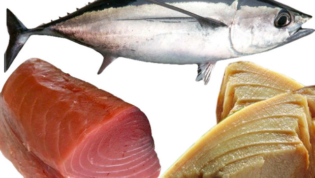 Nutri Mare, l’azienda di conserve di prodotti ittici chiude all’improvviso e licenzia 10 lavoratrici. In corso picchettaggio davanti alla fabbrica. Le operai in attesa di 6-7 mensilità. Di punto in bianco l’azienda dà lo stop alla produzione e licenzia le 10 lavoratrici. Accade alla Nutri Mare (ex Compagnia Mercantile) di Trappeto, azienda siciliana specializzata nella lavorazione delle conserve del tonno e dello sgombro. Ieri sera le lettere sono state consegnate ai rappresentanti sindacali: il licenziamento scatterà dal 1° agosto. E da stamattina, davanti ai cancelli della fabbrica in contrada Valle Fondi, è in corso un picchettaggio: la Flai, assieme alle […]