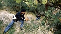 Redazione di Operai Contro, La strage nel Foggiano ha rilanciato l’allarme sulla criminalità organizzata pugliese, e sul modo di combatterla. Da Pino Gesmundo (segretario Cgil Puglia) e da Maurizio Carmeno (segretario Camera del Lavoro di Foggia) viene un appello a rafforzare gli strumenti dell’antimafia nella regione, cominciando col creare una sezione Direzione distrettuale antimafia in Capitanata. Una volta il regno sabaudo invio i bersaglieri. Fu un massacro di poveri cristi. Negli anni 50 la DC rafforzo la celere. Per i braccianti furono morti e manganellate. Ora la CGIL scopre la legalità. Più polizia, più sicurezza Ma come risolverà la […]