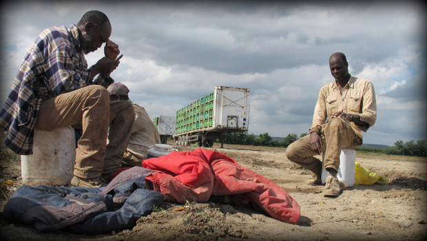 Per il quarto anno consecutivo il team del progetto Terragiusta di Medici per i Diritti Umani (Medu) è tornato ad operare in Basilicata e Puglia portando assistenza sanitaria e orientamento socio-legale ai lavoratori agricoli stagionali. Il “laboratorio Basilicata” si conferma un’esperienza positiva negli intenti, ma con risultati ancora troppo limitati nella promozione della legalità e la tutela dei diritti dei lavoratori stagionali impiegati in agricoltura. Ad un anno dall’approvazione della legge contro il caporalato, questa pratica continua ad essere un fenomeno pervasivo: quasi tutti i lavoratori incontrati da Medu ricorrono ancora al caporale per trovare lavoro, per l’organizzazione della […]