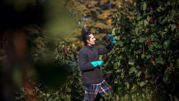 Caro Operai Contro, ti invio un excursus nella giungla delle condizione operaia e dei salari da fame in Italia, anche se non tratta tutti i rami dei tre settori, industria, servizi, agricoltura. Saluti da Grugliasco Invio articolo da La Stampa Mestieri da schiavi, nei campi e in auto per 4 euro l’ora Dai camerieri alle badanti, le professioni peggio retribuite. Straordinari non pagati e cottimo: cresce il lavoro low cost Roma. Li chiamano lavori “low cost”, ma sono low cost solo per i datori di lavoro. Per migliaia di persone in tutt’Italia si tratta di mestieri faticosi e pagati […]