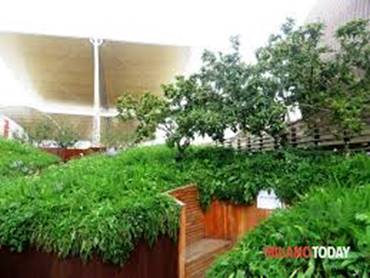 Caro Operai Contro, per colpa di 6 mila alberi che aveva innocentemente fatto piantare, per alleviare la calura nell’area Expo, Giuseppe Sala sindaco di Milano ed ex amministratore delegato, nonché Commissario unico di Expo, si è trovato indagato e poi prosciolto dalla Procura Generale di Milano. Il tutto per aver generosamente pensato alla frescura dei visitatori di Expo. Sala era stato accusato di “turbativa d’asta” per aver comprato i 6 mila alberi, senza una regolare gara d’appalto. Il giudice l’aveva però assolto una prima volta, perché Sala non aveva deciso da solo l’acquisto dei 6 mila alberi, ma trovò […]