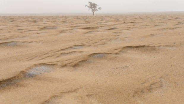 All’inizio tutto è solo sabbia. La linea arriva subito dopo da mano divina per delimitare lo spazio e l’identità delle sue creature. Il solco si trasforma in ferita per l’uccisione di un fratello ad opera del fratello. Caino e Abele firmano sulla sabbia la prima frontiera conosciuta. Da allora in poi una linea nella sabbia accompagna l’umana avventura fino ai nostri giorni. Quella che attraversa il mondo non è che una continuazione delle precedenti. Linee tracciate per generazioni tra guerre, armistizi, piste carovaniere per schiavi, concubine e mercanzie. Su queste linee sono passate, spesso assieme agli eserciti, idee, culture, […]