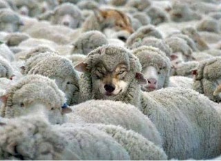   In un programma televisivo del mattino di lunedì 5 novembre si trovano a fare salotto un vecchio studioso intellettuale (Masi), la Santanchè, in rappresentanza dei piccoli e medi padroni senza scrupoli, il politico di sinistra-sinistra piccolo borghese, Fassina e, in collegamento esterno, un famoso giornalista, un gruppo di operai di una fabbrica del milanese ed infine dei dipendenti di un call-center. La solita conduttrice che si vanta di trattare i “problemi del lavoro”. Iniziano quelli del call-center, raccontano di una storia di contratti capestro, di rinnovi non avvenuti, di una vita legata ad un filo, di salari miserabili. […]