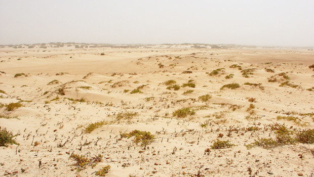 Puntuale come un orologio svizzero. L’harmattan arriva secondo la stagione prefissata dalle consuetudini. Si invita a dicembre proprio sotto Natale, più vicino qui che altrove. L’harmattan è un vento caldo e secco che soffia sul Sahara e l’Africa occidentale. Si raffredda la notte provocando l’ abbassamento della temperatura. Il suo lavoro consiste nel trasporto gratuito di polvere per tutti. Una polvere democratica, che non risparmia o esclude nessuno. Facilita la trasmissione di epidemie di meningite e di malgoverni che, grazie alle polvere attecchiscono, prosperano e si mantengono. Anche il primo Natale è stato così. Pieno di polvere più che […]