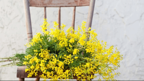 Forse i lettori di questo telematico si ricorderanno delle vicende della bracciante, mia sorella, cui avevo “prestato la tastiera” qualche tempo fa per raccontare, sul campo, le problematiche del lavoro salariato delle campagne. Ebbene mia sorella, a fine agosto, ha perso la sua battaglia contro il cancro di cui era affetta da qualche tempo. La vita, e la morte delle persone non sono uguali. Così non contano nulla le vite, e le morti di tanti operai che muoiono sui posti di lavoro degli immigrati e dei tanti poveri cristi nel mondo, cosa può importare la vita, e la morte […]