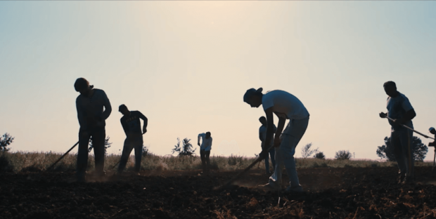 La sanatoria è miseramente fallita, uno strumento burocratico poliziesco che doveva fornire ai padroni agricoli manodopera regolarizzata. Nei campi con la nuova raccolta torna caporalato e schiavitù.