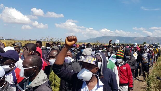 Una banda armata ha sparato e ferito degli operai africani che tornavano dal lavoro. Una ritorsione, stanno costituendo la Lega dei Braccianti per difendersi. Se va avanti così l'autodifesa sarà l'unica alternativa