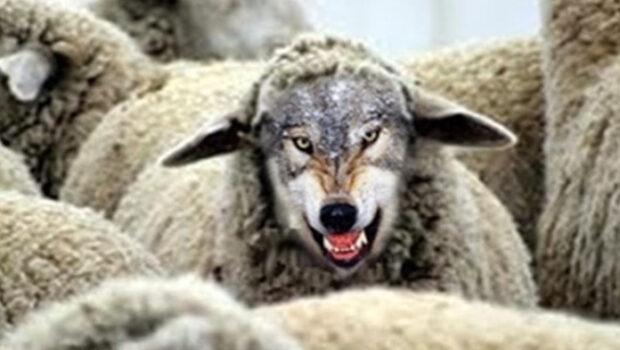 Firmatutto e Fiom, dopo anni trascorsi da separati in casa, si uniscono in assemblea e per lo sciopero nazionale. Un operaio Stellantis di Melfi dopo lo sciopero di ieri, 10 luglio: “Loro che ci hanno tenuto a freno finora, che hanno sottoscritto lo smantellamento della linea, ora ci accusano di essere pecore. Ma se davvero ci volete lupi, cominciate ad esserlo anche voi!”